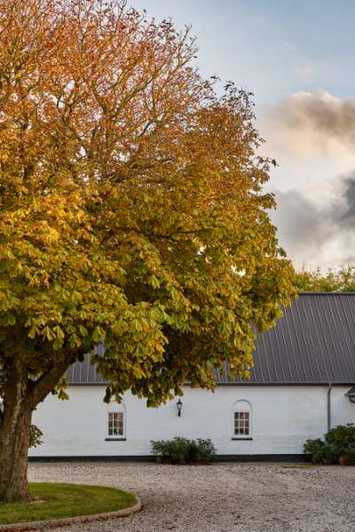 Stål og sjæl mødes på Egholm Vestergaard, Egholm Vestergaard, Egholm 57, 9000 Aalborg